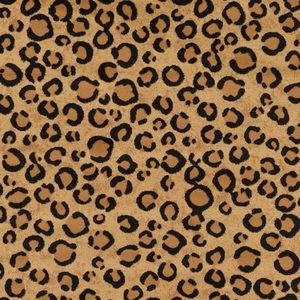 Meet your Posher, Abigail